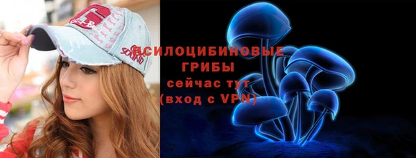 СК Абинск